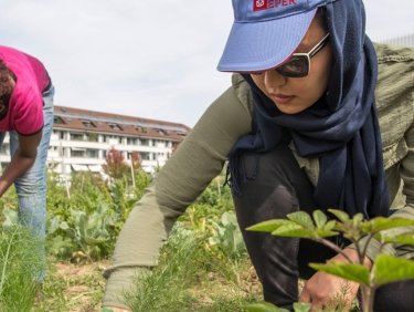 HEKS Neue Gärten Zürich/Schaffhausen - Familiengärten für Flüchtlingsfrauen