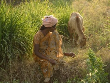 Rechte für Kleinbauern - Peasants Rights - HEKS