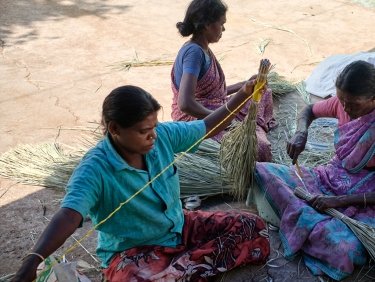 Der Kampf um gesicherte Lebensgrundlagen - HEKS hilft in Indien bei der Verbesserung der Wertschöpfung