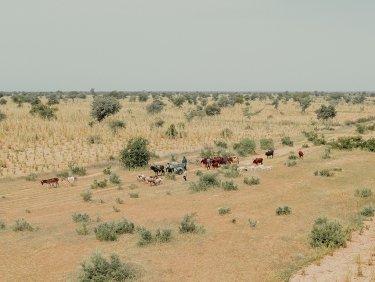 Landgrabbing in Afrika