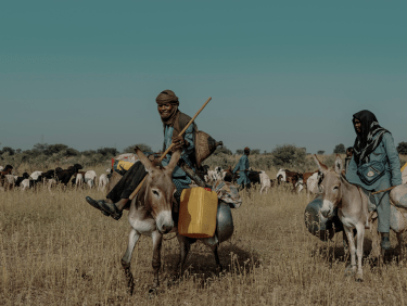 Drei Personen auf Eseln betreiben Landwirtschaft auf dem Feld