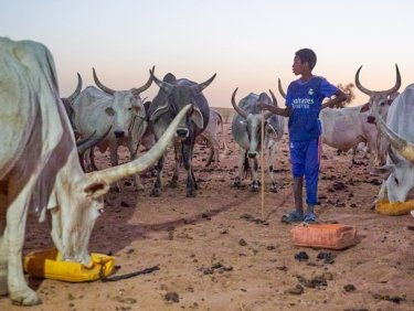 Patenschaft mehr Klimagerechtigkeit Senegal