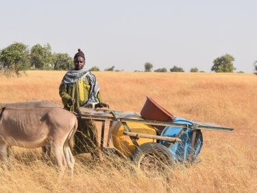 Patenschaft Kleinbauernfamilien Senegal