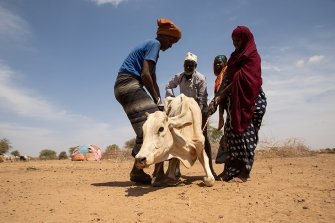 Äthiopien leidet unter einer katastrophalen Dürre –  HEKS leistet Nothilfe