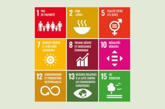 Impact Investing SDG