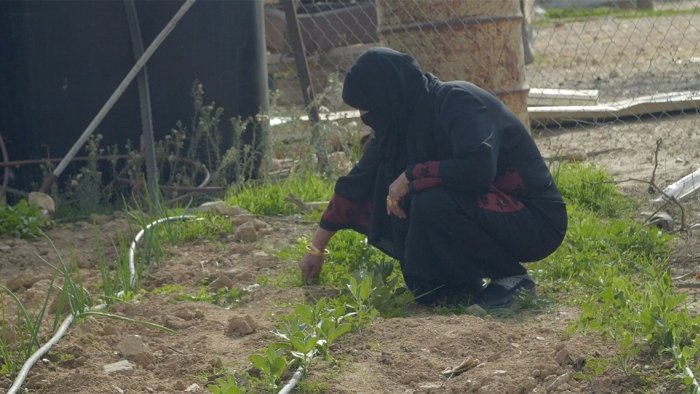 Unterstützen Sie Frauen in der Negev-Wüste mit einer Spende