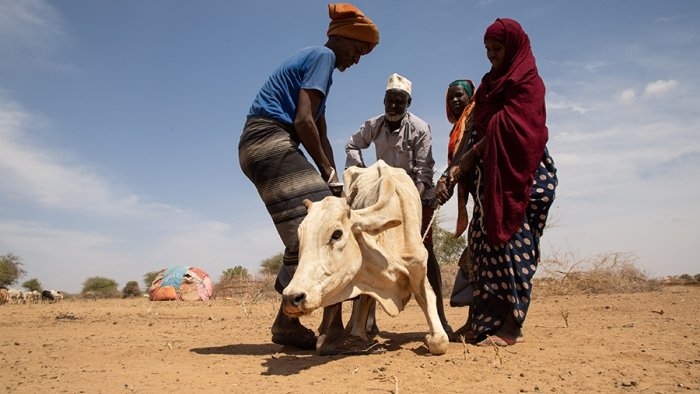 Äthiopien leidet unter einer katastrophalen Dürre –  HEKS leistet Nothilfe