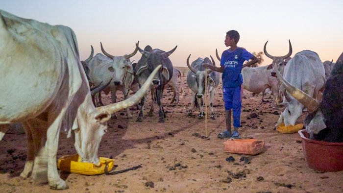 Patenschaft mehr Klimagerechtigkeit Senegal